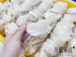 游客在吉隆坡怎么买燕窝?揭秘本地人其实都去这里买!