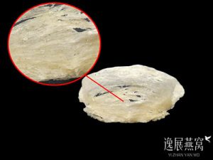 燕窝里的小黑点能吃吗,吃进肚子后会有什么影响
