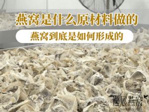 燕窝是什么原材料做的,燕窝成品到底是如何形成的
