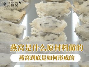 燕窝是什么原材料做的,燕窝成品到底是如何形成的