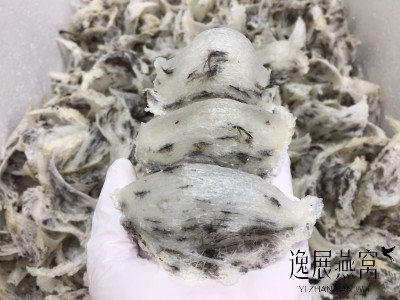 买毛燕到底该选厚底座还是薄底座?这两种有什么区别? 买毛燕到底该选厚底座还是薄底座?这两种有什么区别?