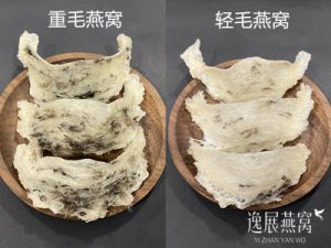 重毛燕窝和轻毛燕窝营养价值一样吗?自己吃买那个比较好