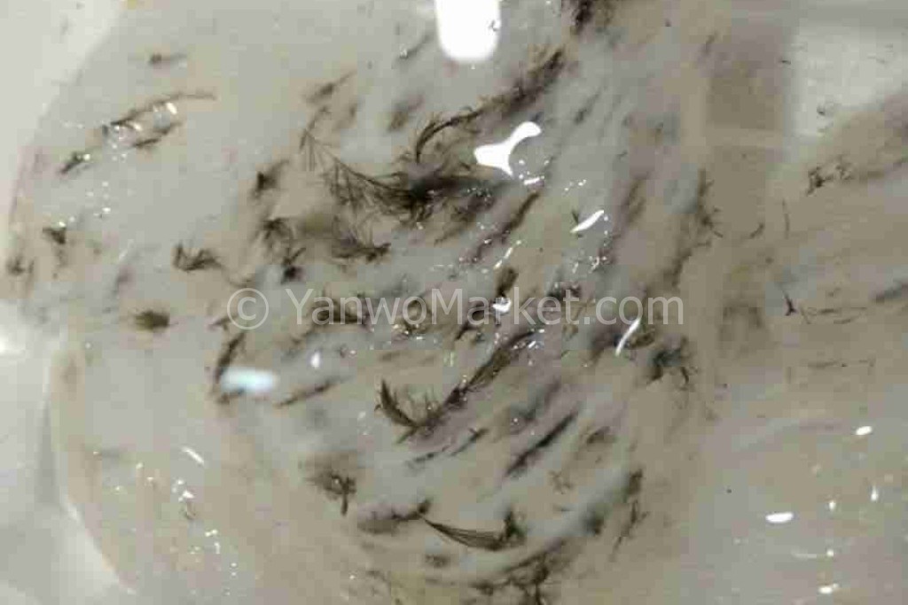 使用蒸馏水浸燕窝