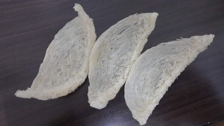 天然马来西亚燕盏