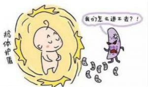 燕窝增加宝宝抵抗力