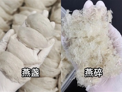 燕盏和燕碎之间的区别,营养价值真的差很多吗?