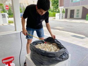 毛燕喷水