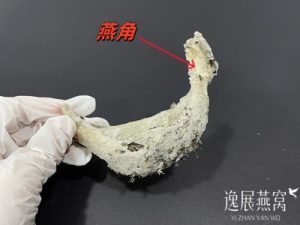 燕角那么便宜为何买的人却很少?揭秘少人买的真正原因