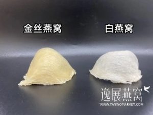 金丝燕窝和白燕窝区别