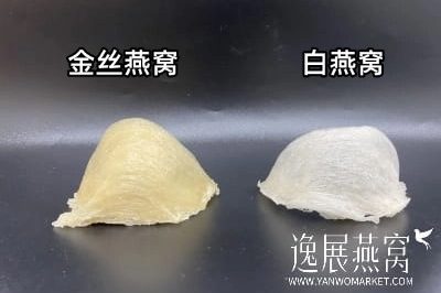 金丝燕窝和白燕窝区别